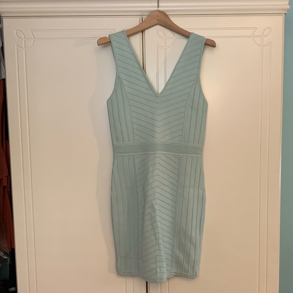 Parker Bodycon Dress - Nwt